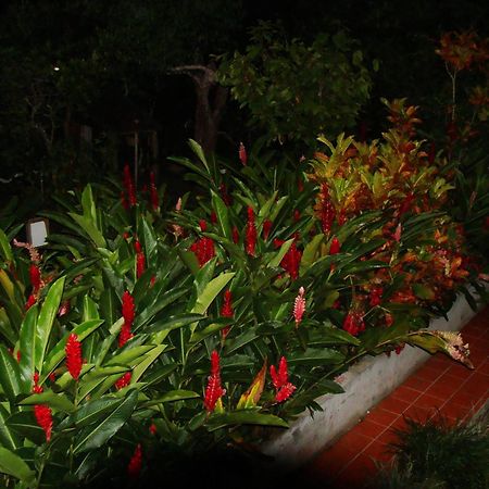 L'Ecomusee Creole De La Guadeloupe Sainte-Rose Eksteriør billede