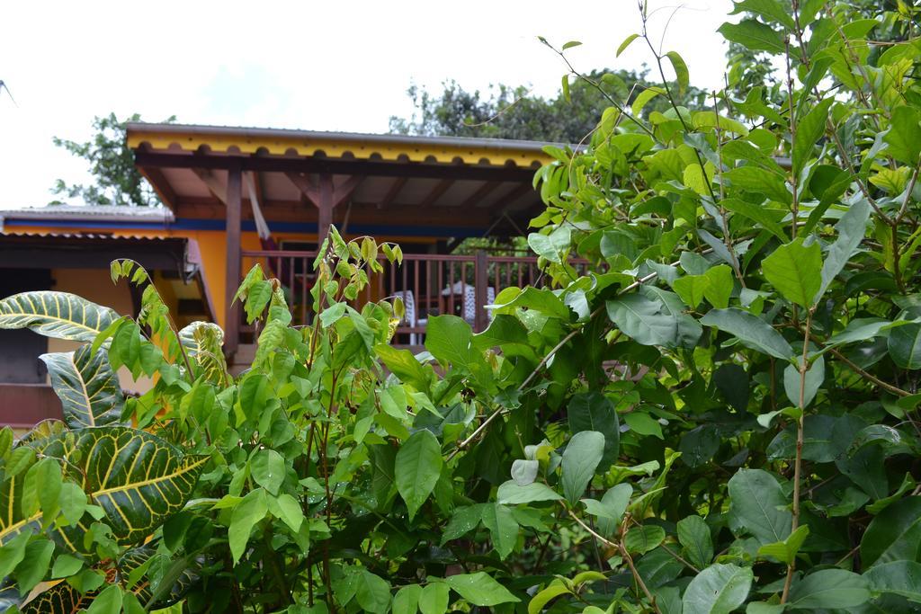 L'Ecomusee Creole De La Guadeloupe Sainte-Rose Eksteriør billede